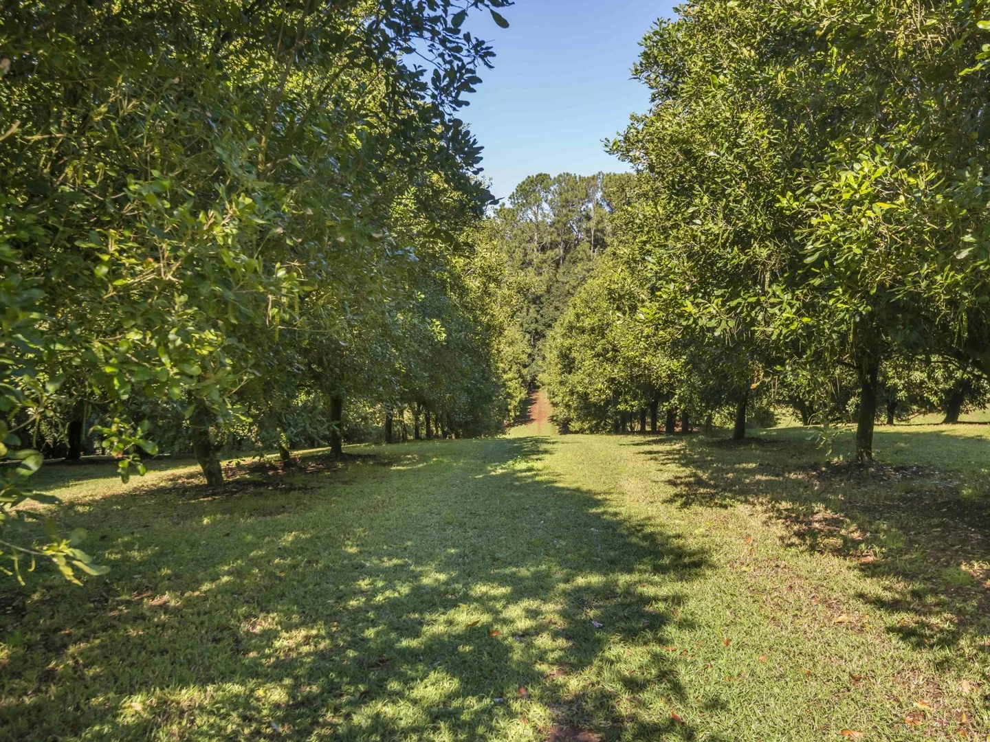 Additional image 2 of 710 Cowlong Road, Eltham NSW 2480
