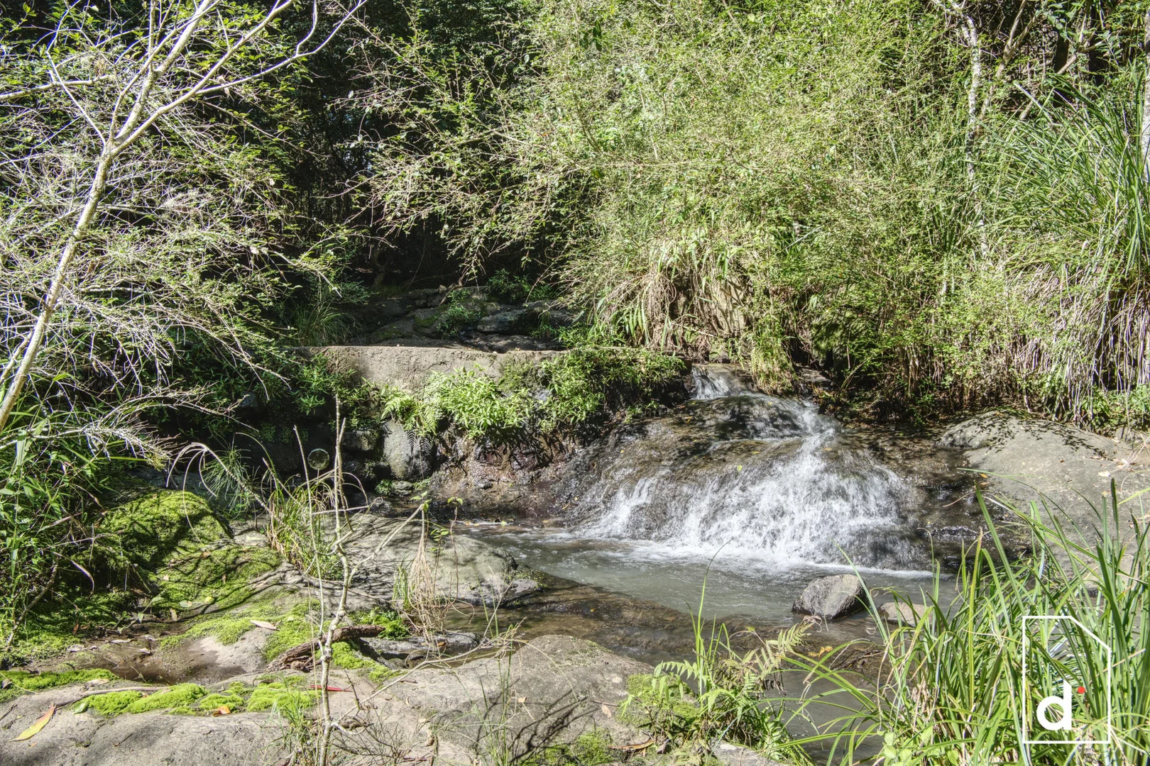 Additional image 10 of 136 Wender Road, Collins Creek NSW 2474