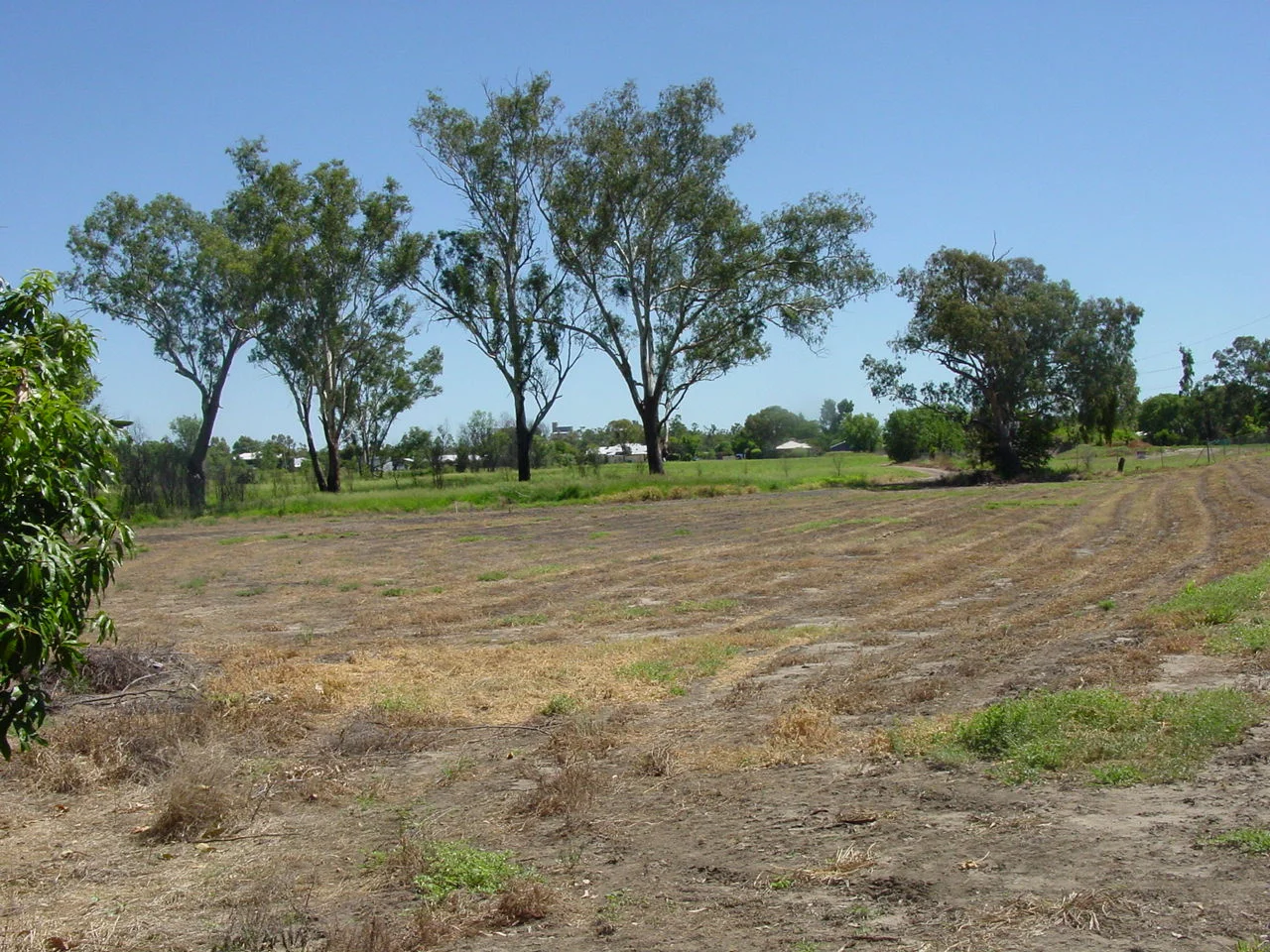 Additional image 4 of Corcoran - Sandalwood Drive, Goondiwindi QLD 4390