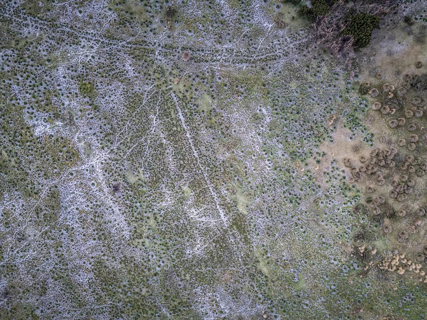 Additional image 15 of PID 3118936 Palana Road, Whitemark TAS 7255