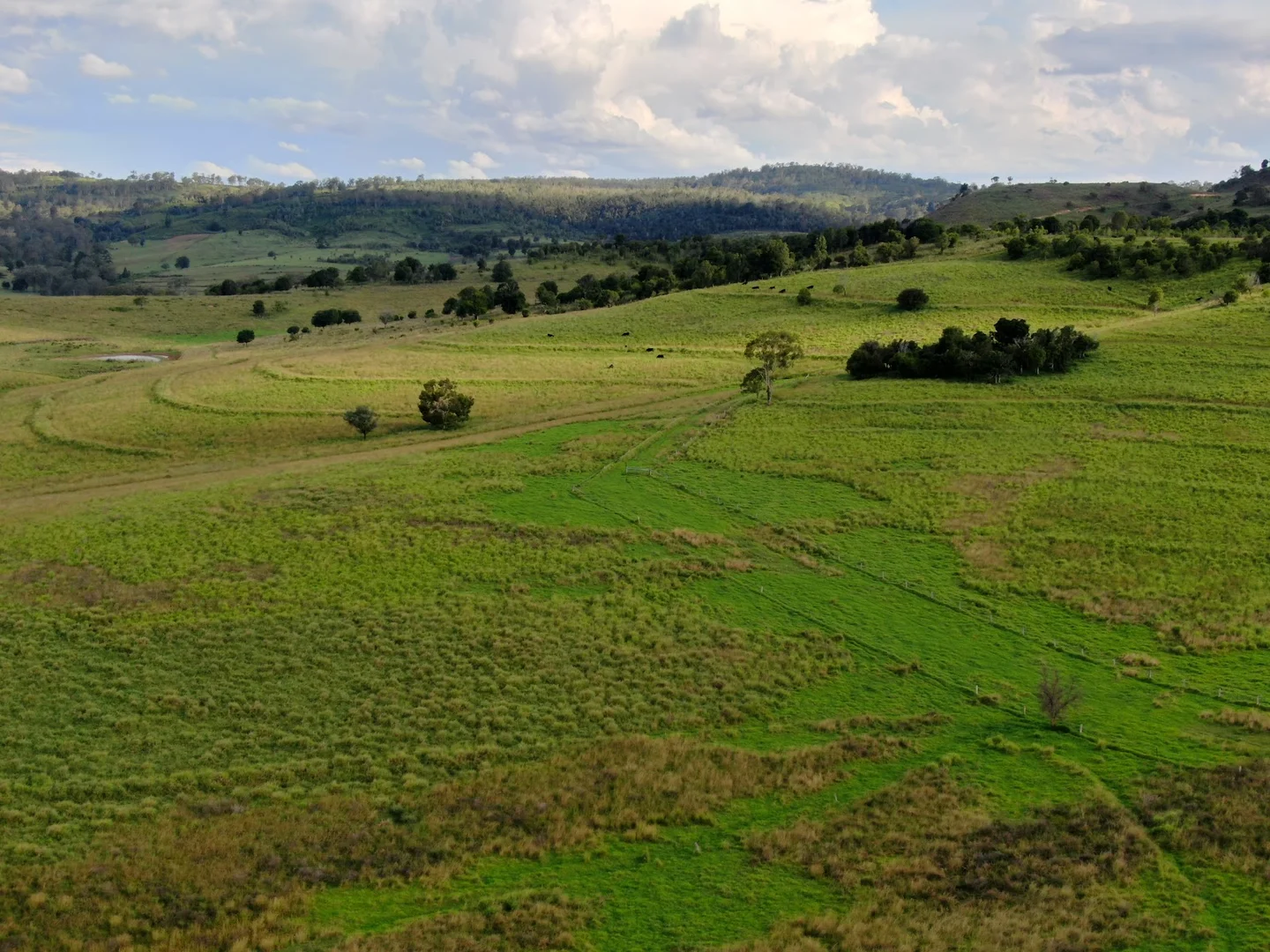 Additional image 14 of 59 Thornville Range Road, Thornville QLD 4352