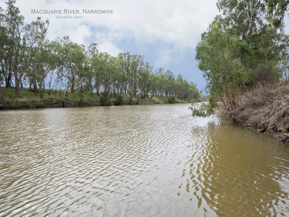 Additional image 6 of 6 128 Dappo Road, Narromine NSW 2821
