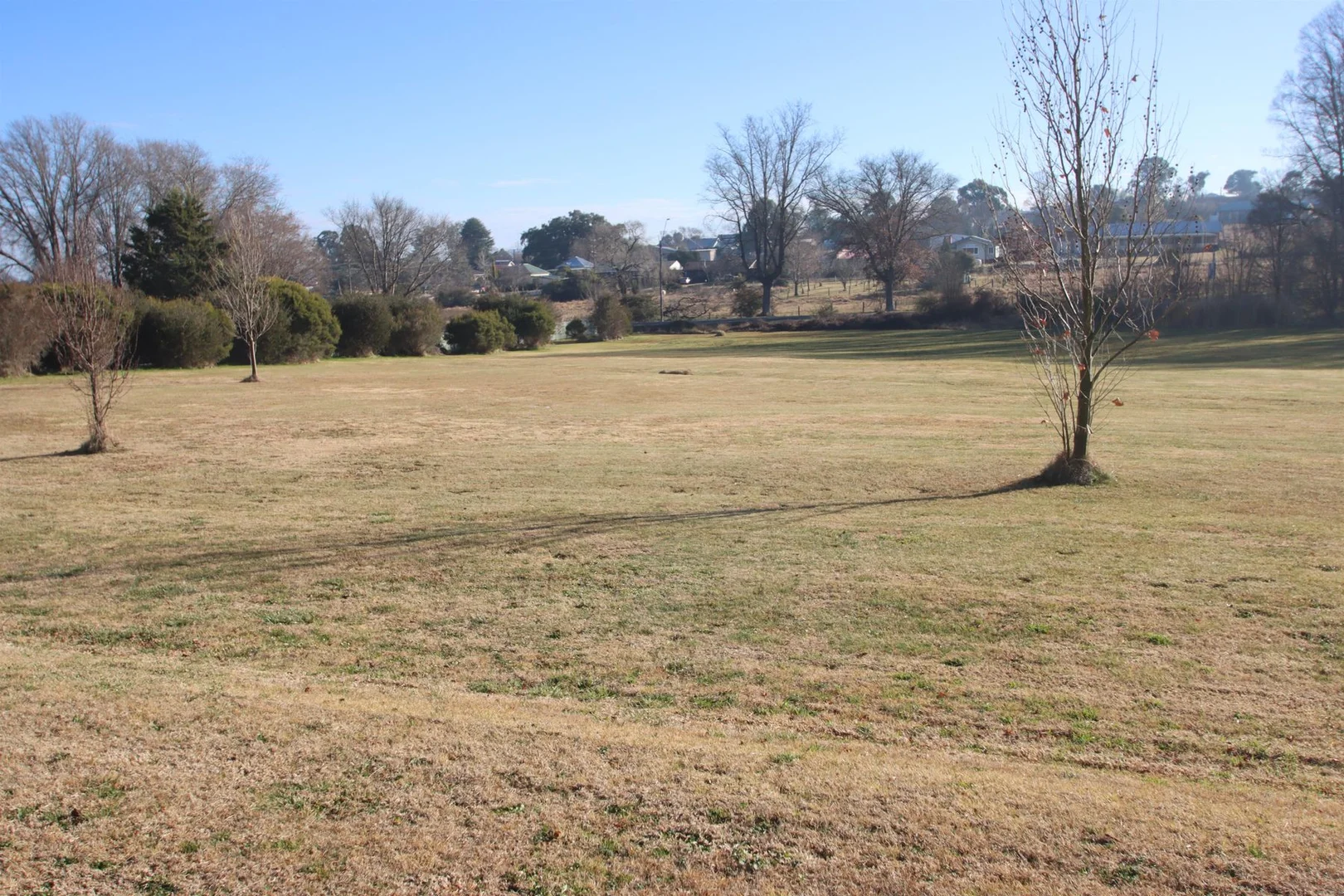 Additional image 5 of Lot 1 Clarence Street, Tenterfield NSW 2372