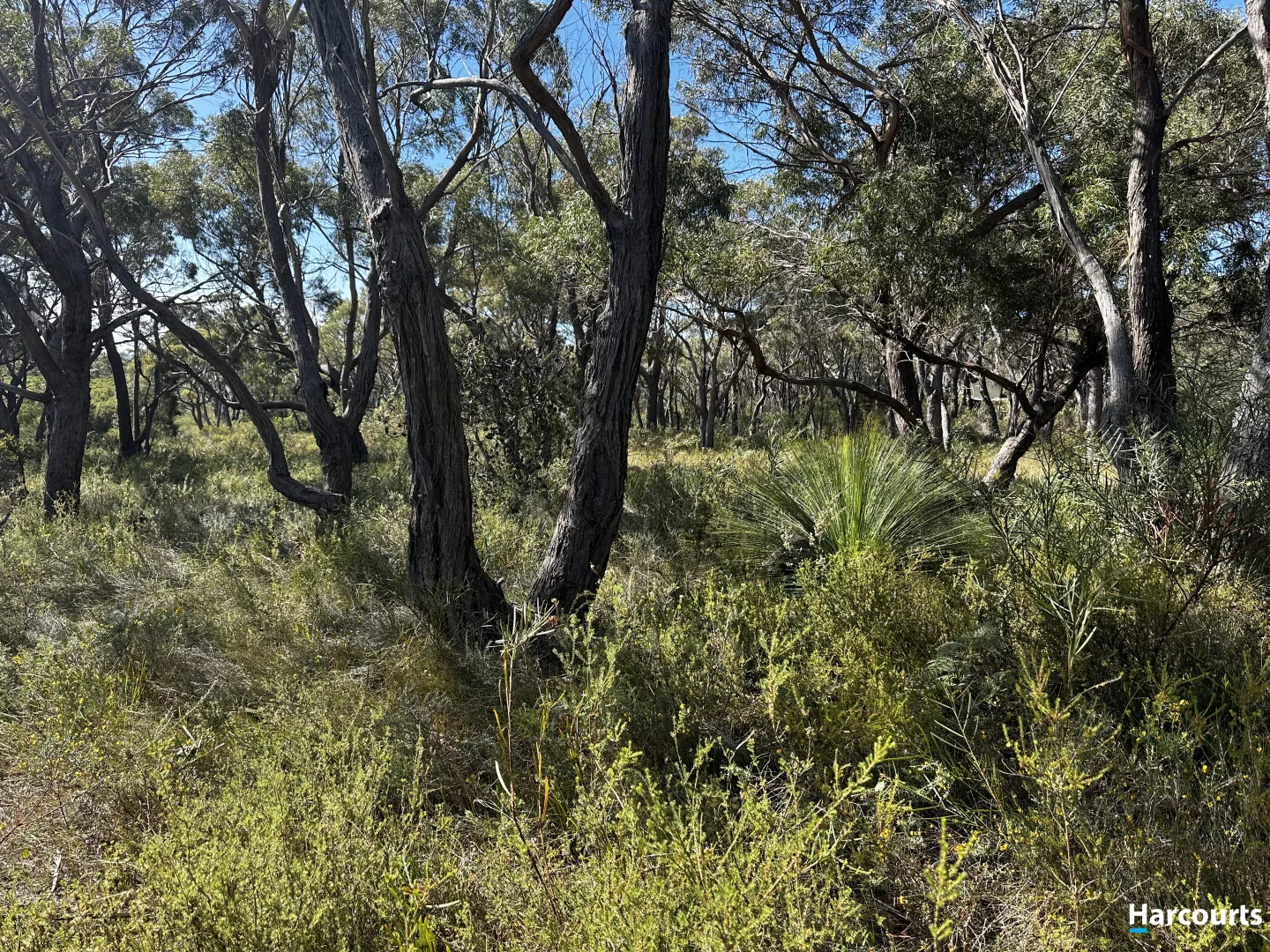 Additional image 17 of 24 Jeanneret Crescent, Binalong Bay TAS 7216