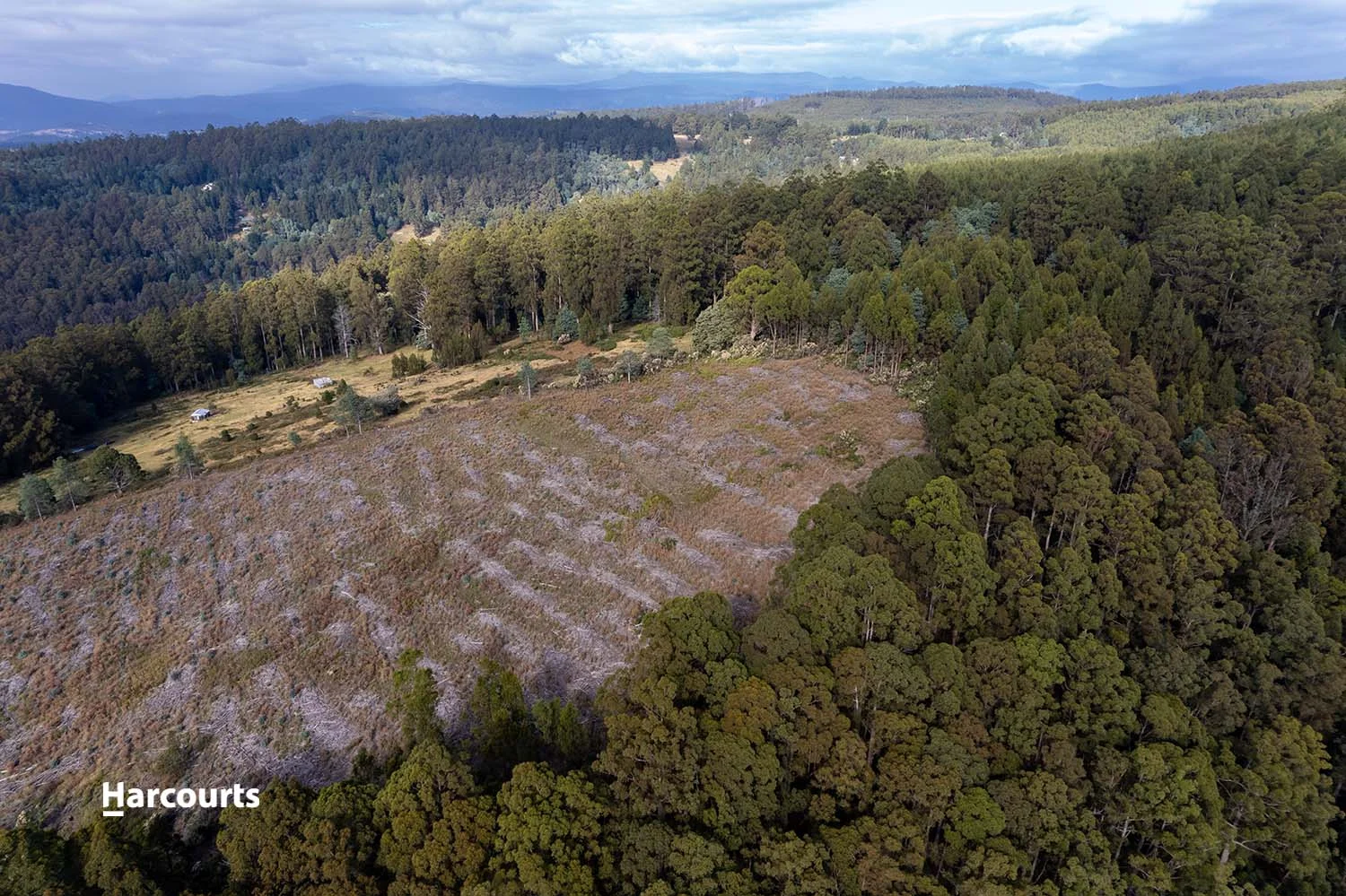 Additional image 6 of Lot 10 Paddys Lane, Franklin TAS 7113