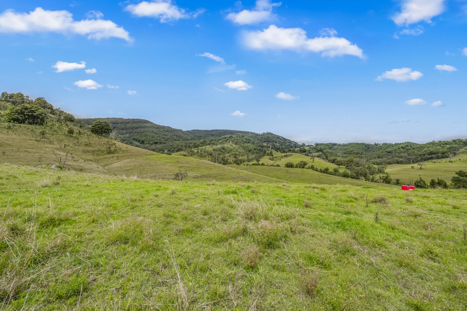 Additional image 9 of Carrowbrook Road Mount Olive, Singleton NSW 2330