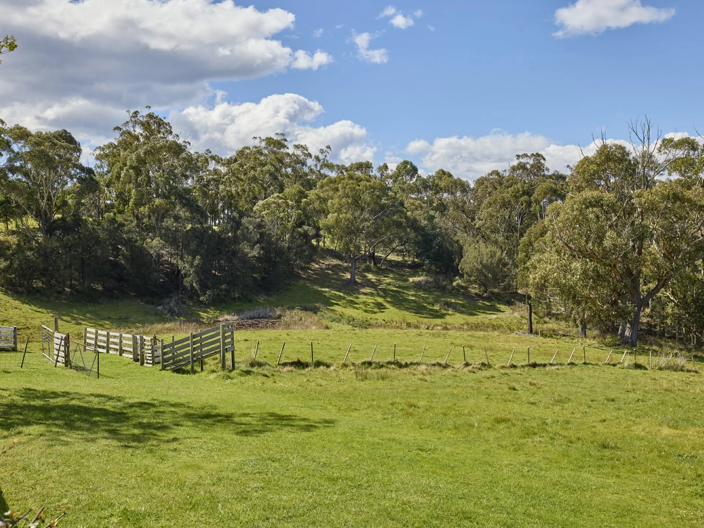 Additional image 23 of 25598 Tasman Highway, St Helens TAS 7216