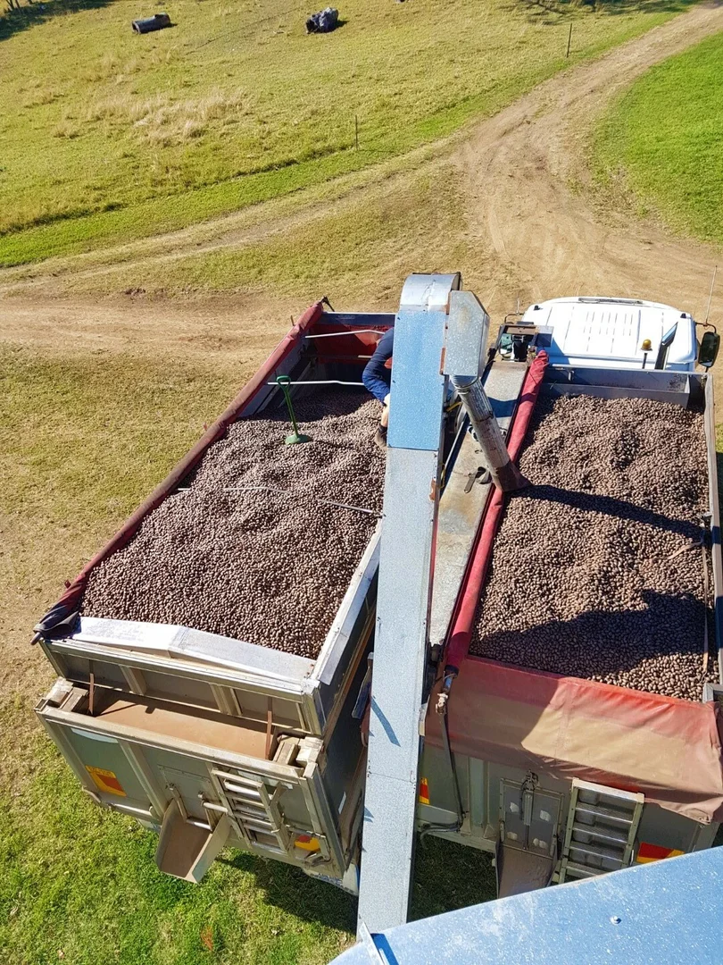 Additional image 21 of 139 Homestead Road, Kyogle NSW 2474