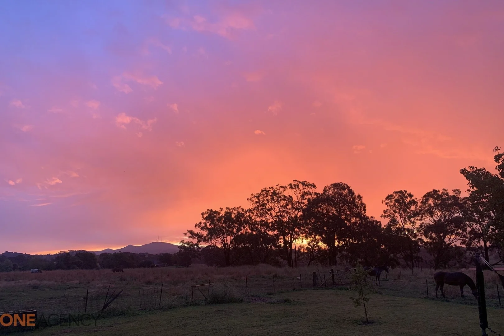 Additional image 2 of 2 Sunray Place, Orange NSW 2800