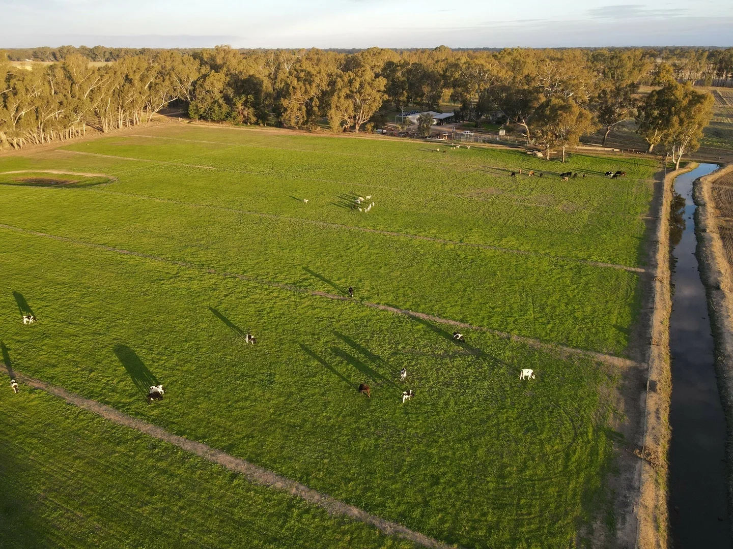 Additional image 41 of 52 Sheehan Rd, Koonoomoo VIC 3644