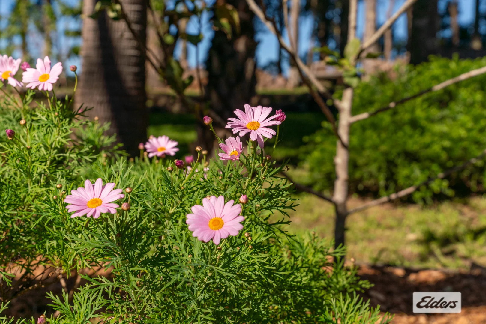 Additional image 32 of 15 Wyalla Road, Jamberoo NSW 2533