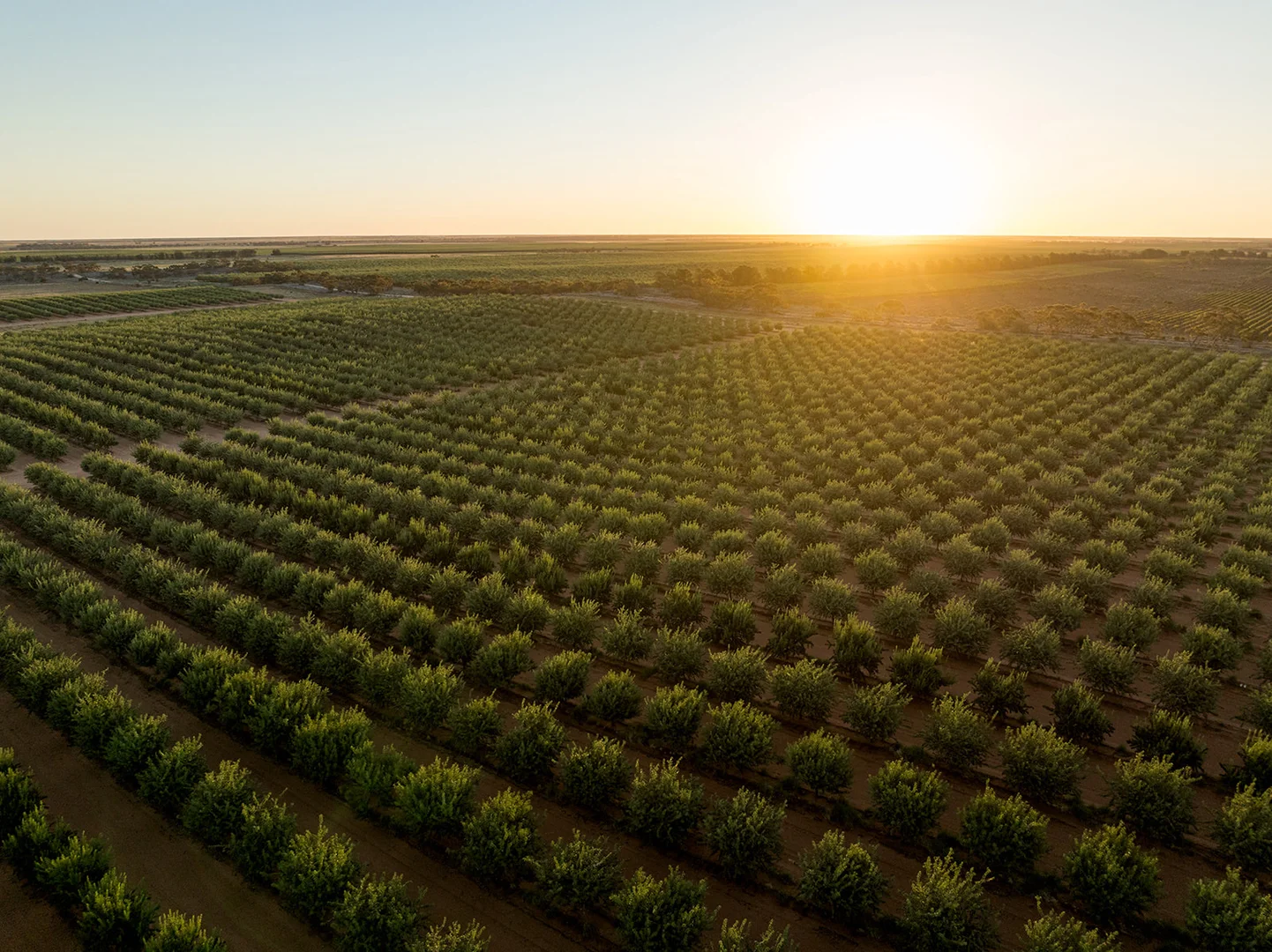 Additional image 4 of 971 Wilga Road, Red Cliffs VIC 3496