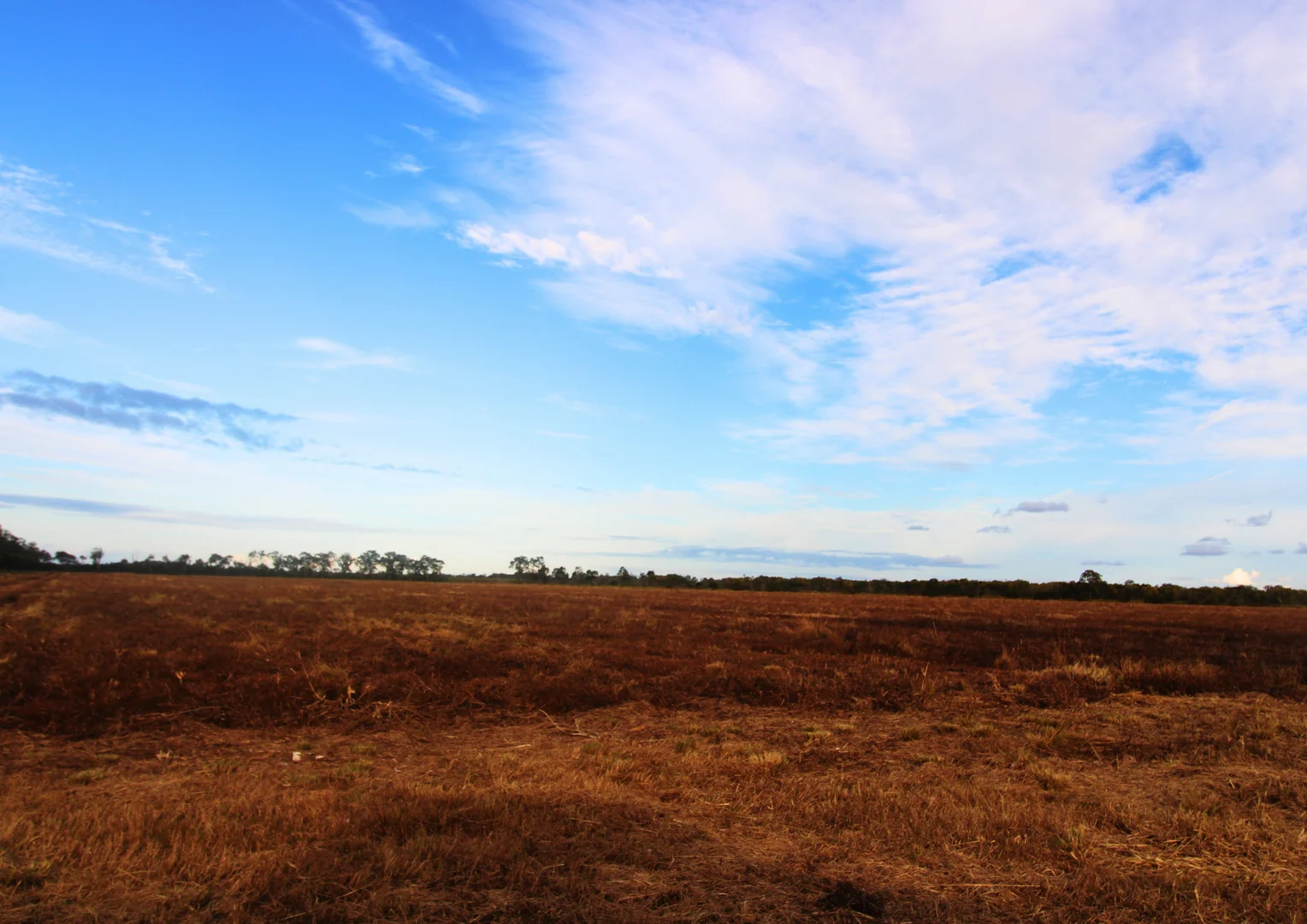 Additional image 14 of 4174 Goodwood Road, Alloway QLD 4670