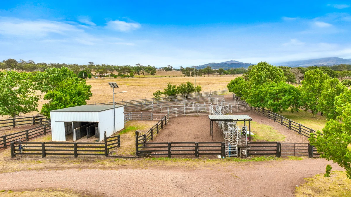 Additional image 10 of 164 Upper Dartbrook Road, Scone NSW 2337