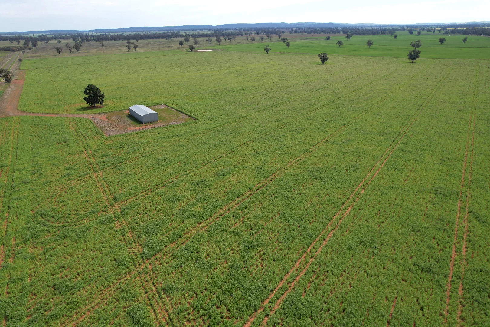 Additional image 2 of "Ben Hall Park" Yarrangong Road, Forbes NSW 2871