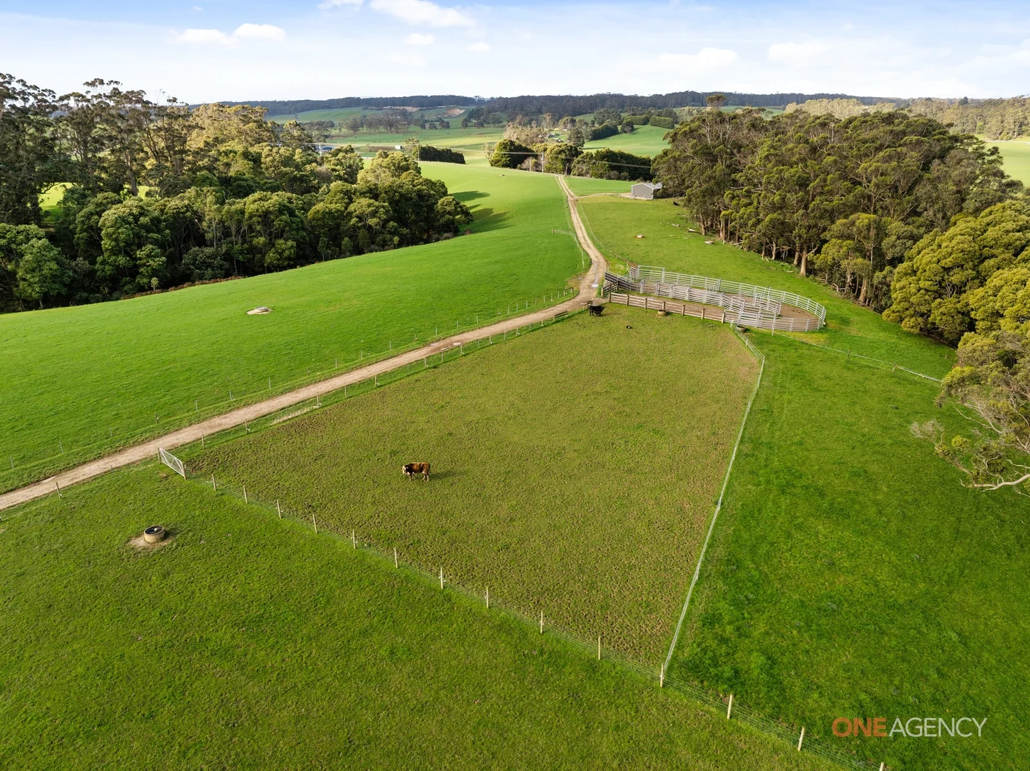 Additional image 6 of 450 Irishtown Road, Irishtown TAS 7330