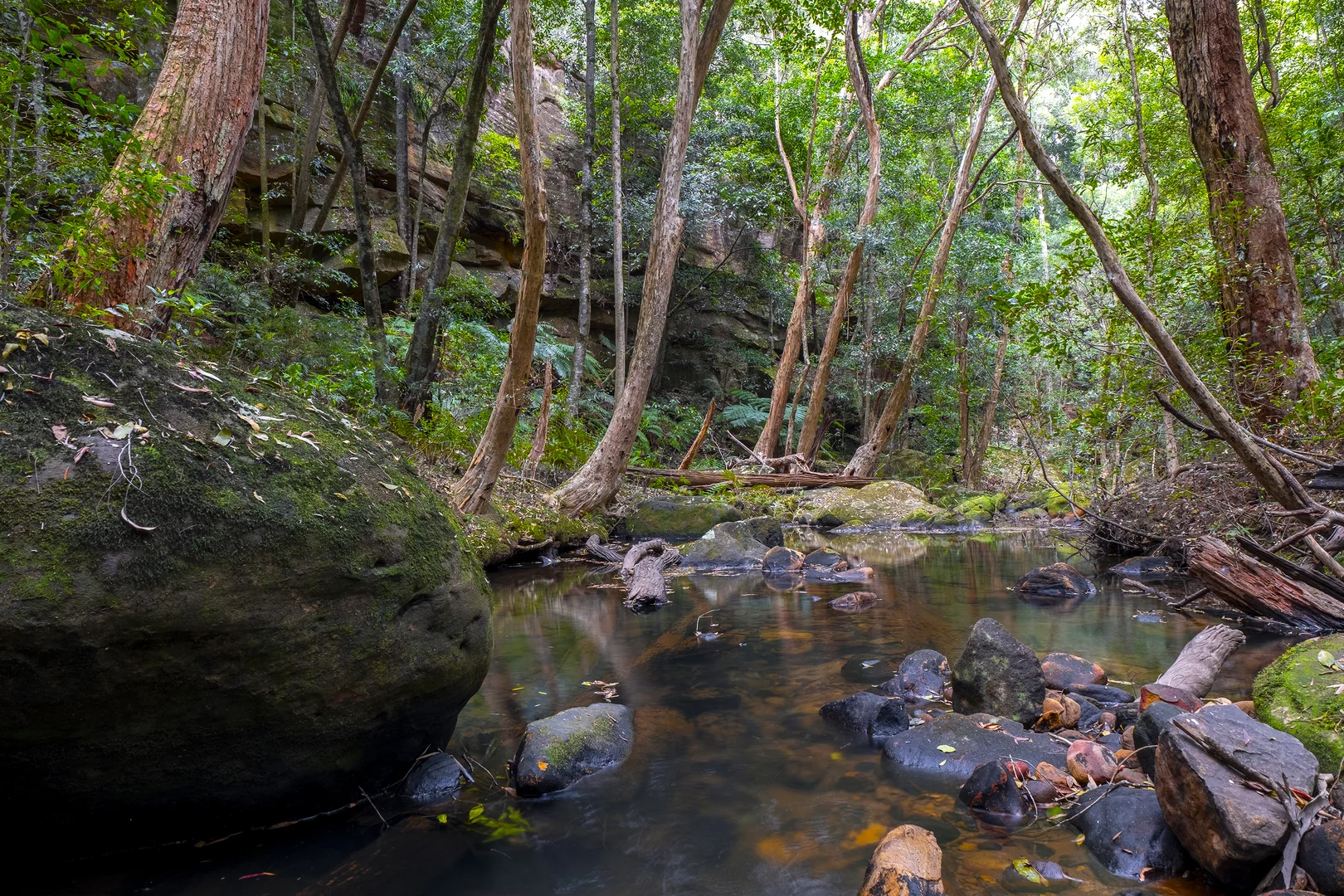 Additional image 9 of 66 Baileys Lane, Kurrajong Hills NSW 2758