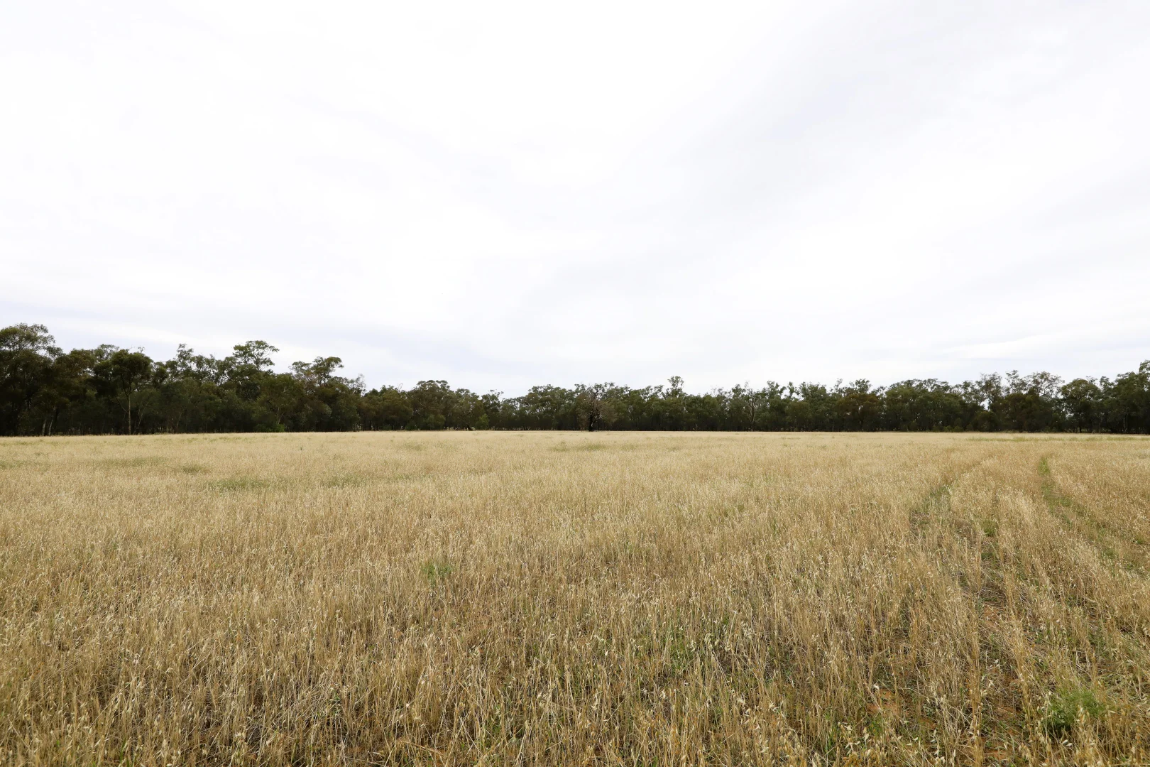 Additional image 6 of 83 Gribben Road, Invergordon VIC 3636