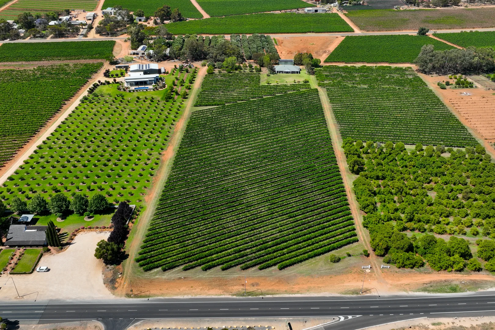 Additional image 36 of 17356 Sturt Highway, Barmera SA 5345