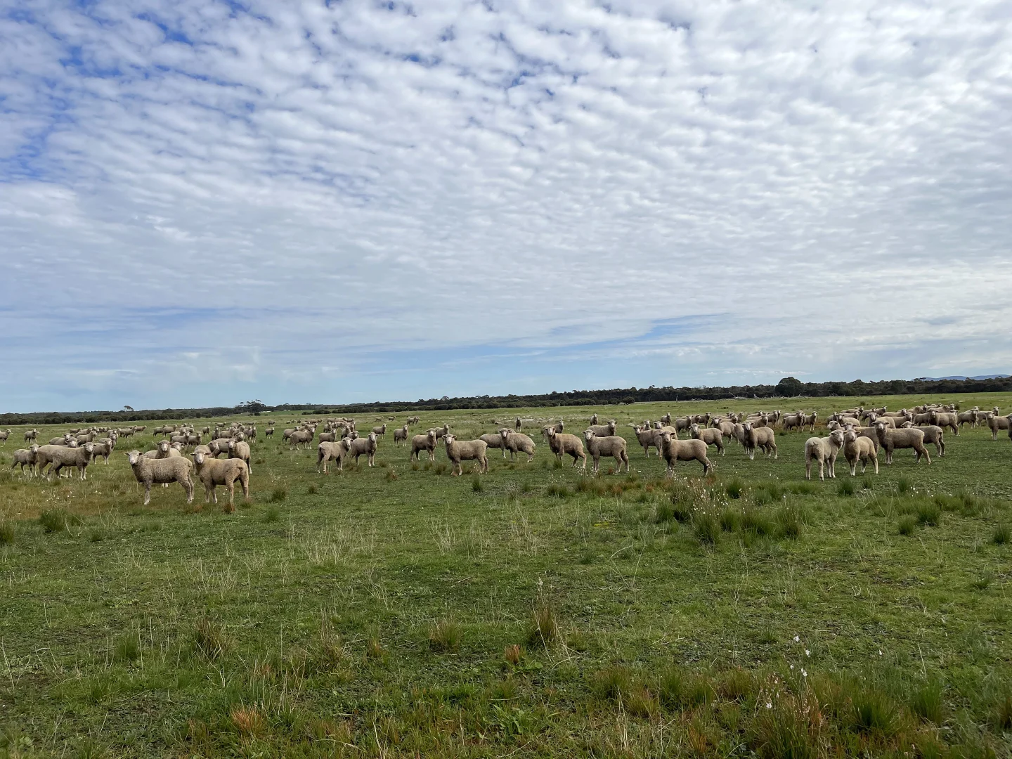 Additional image 4 of 105 Tod Highway, Fountain SA 5607