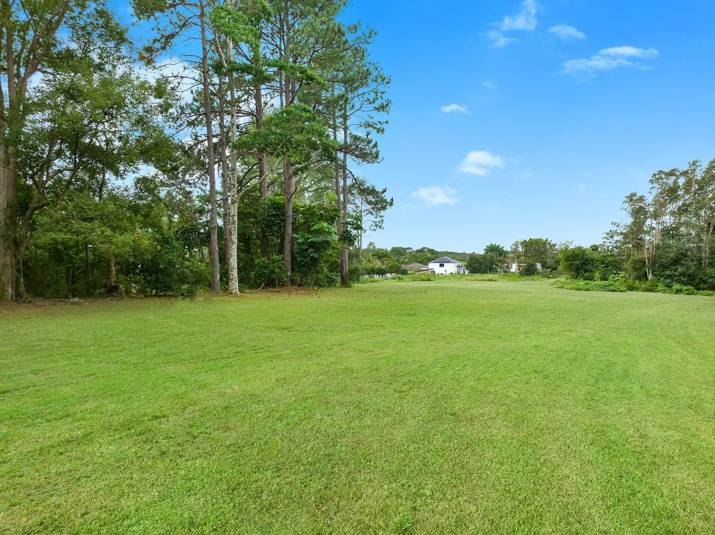 Additional image 12 of 41 Bottlebrush Crescent, Suffolk Park NSW 2481