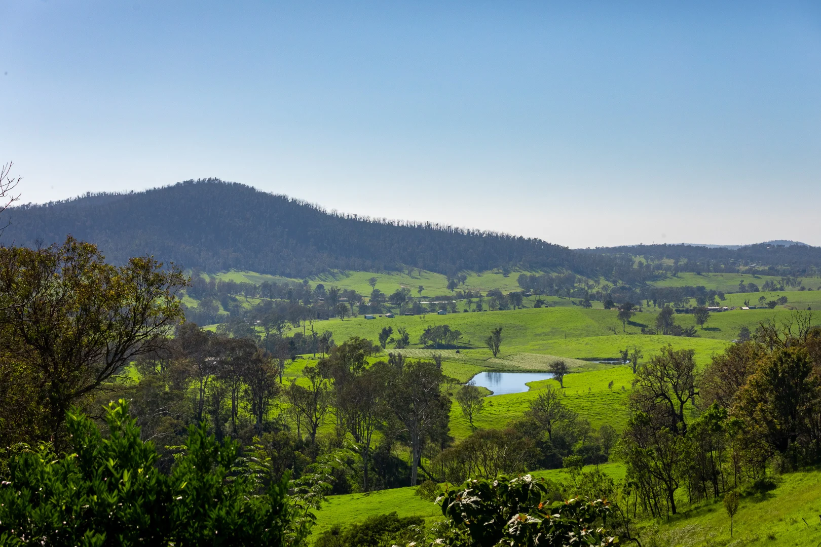 Additional image 9 of 23 County Boundary Road, Cobargo NSW 2550