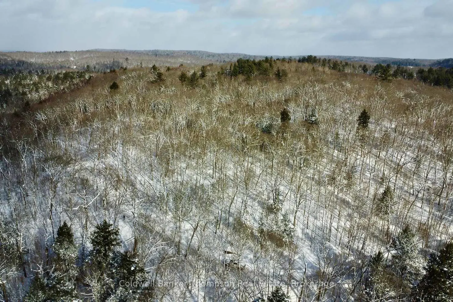 Additional image 5 of 265 Sharon Drive