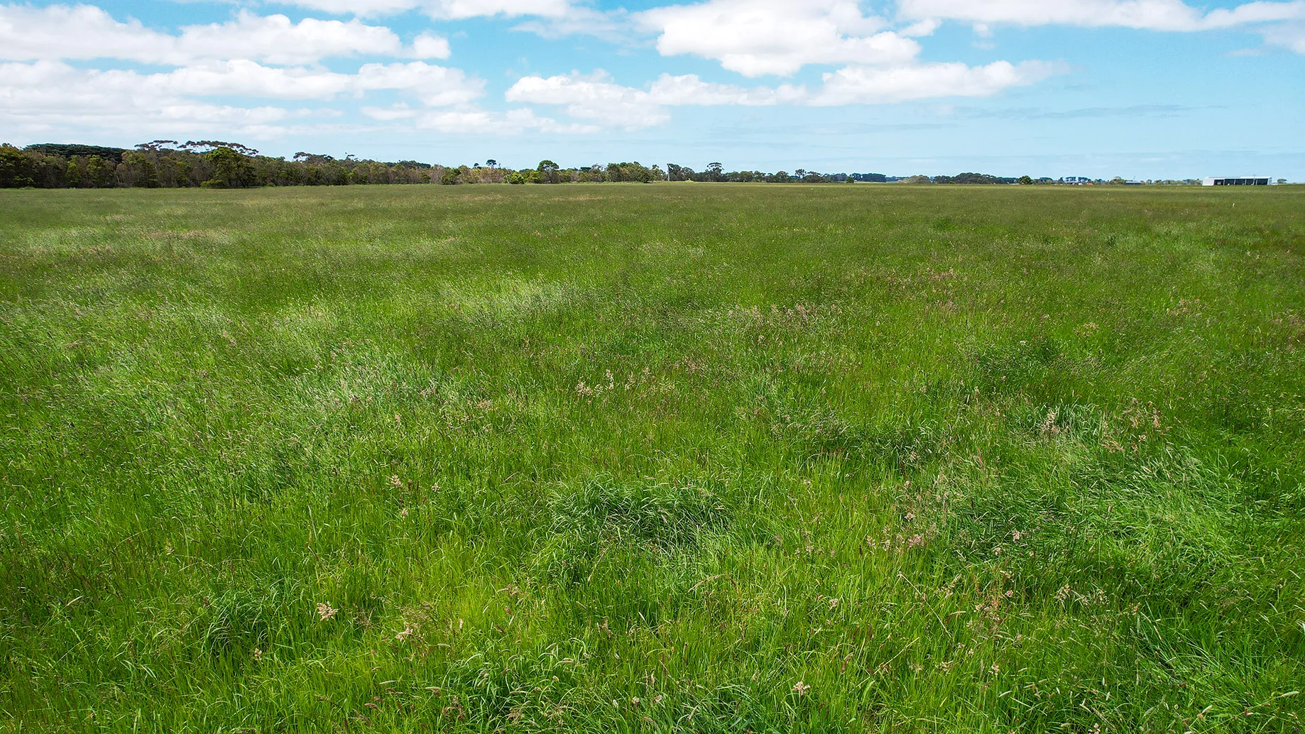 Additional image 14 of 4 Hopkins Falls Road, Wangoom VIC 3279