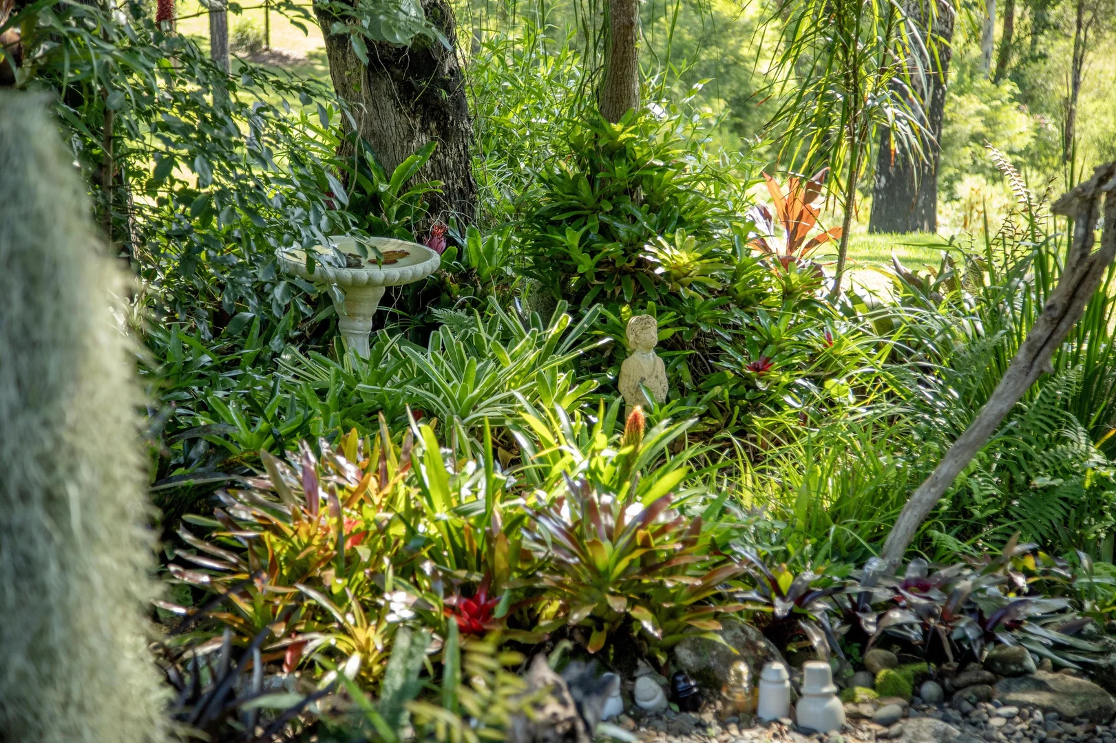 Additional image 22 of 1694 Comboyne Road, Killabakh NSW 2429