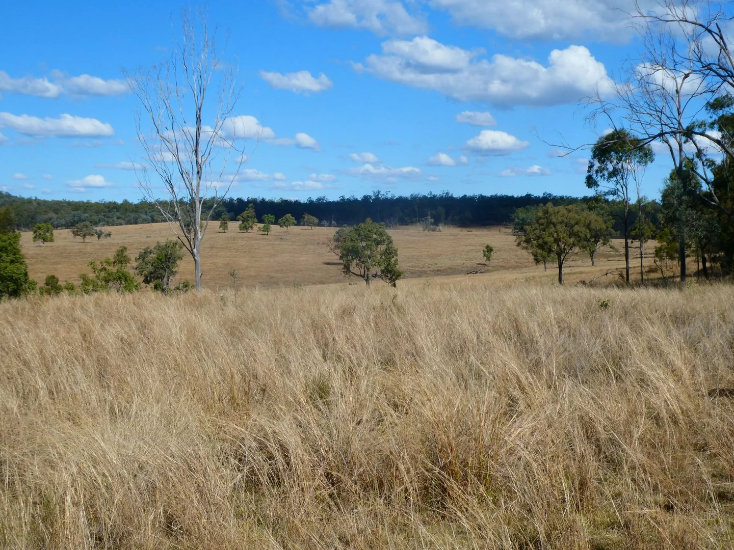 Additional image 10 of NRN BEERON ROAD, Beeron QLD 4626
