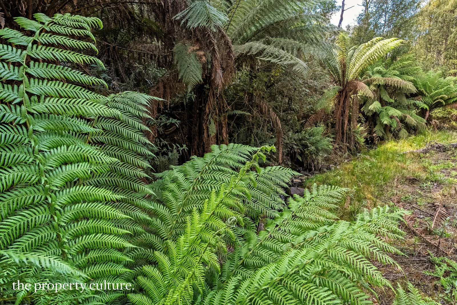 Additional image 2 of 126 New Road, Franklin TAS 7113