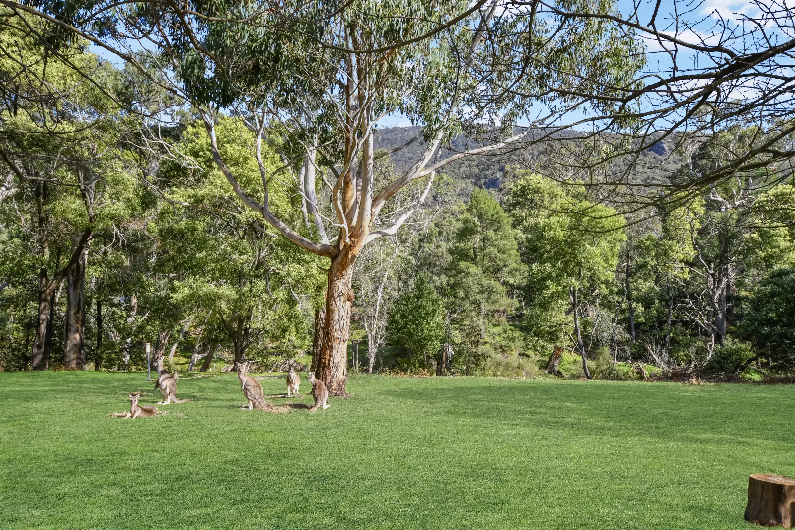 Additional image 5 of 32 Bundaleer Drive, Halls Gap VIC 3381