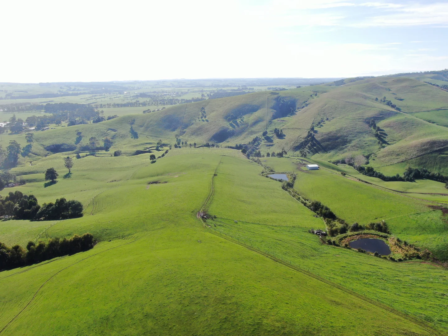 Additional image 7 of 55 Michie Road, Krowera VIC 3945