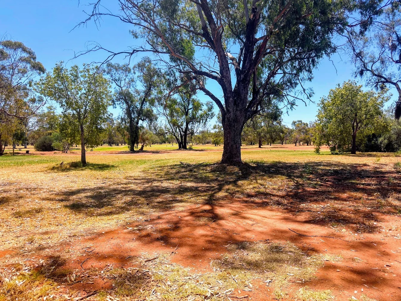 61 Molong Street, Condobolin NSW 2877