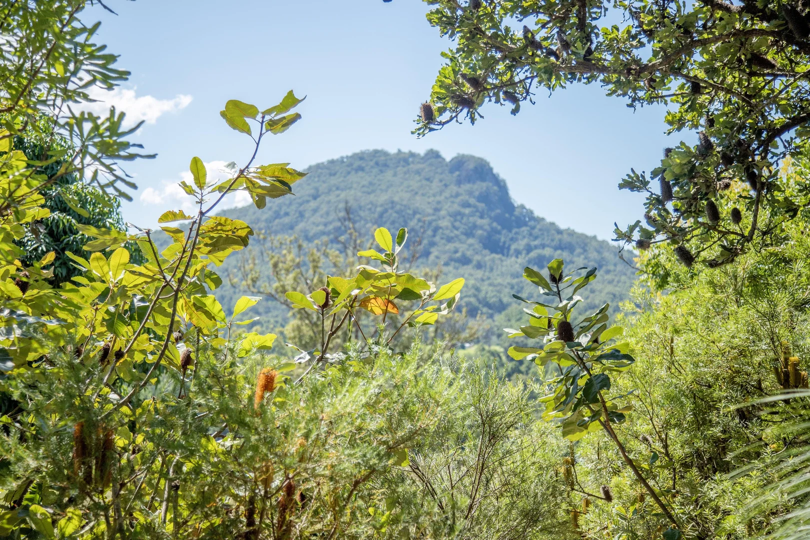 Additional image 21 of 1694 Comboyne Road, Killabakh NSW 2429