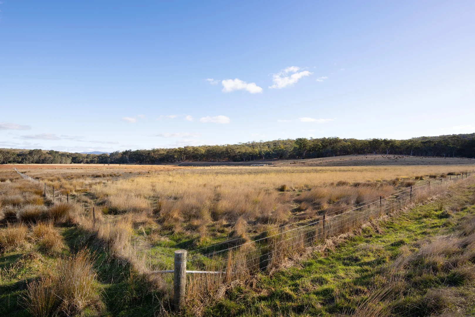 Additional image 2 of 2/89 Tolhurst Road, Axe Creek VIC 3551