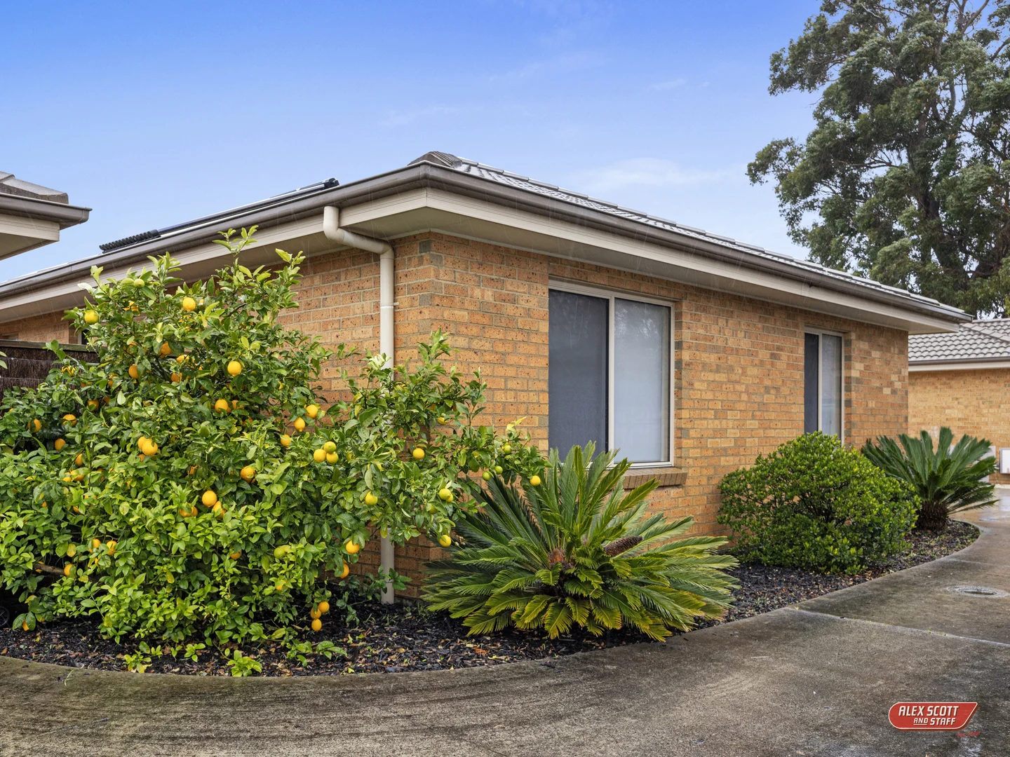 Additional image 13 of 2/15 Allison Street, Leongatha VIC 3953