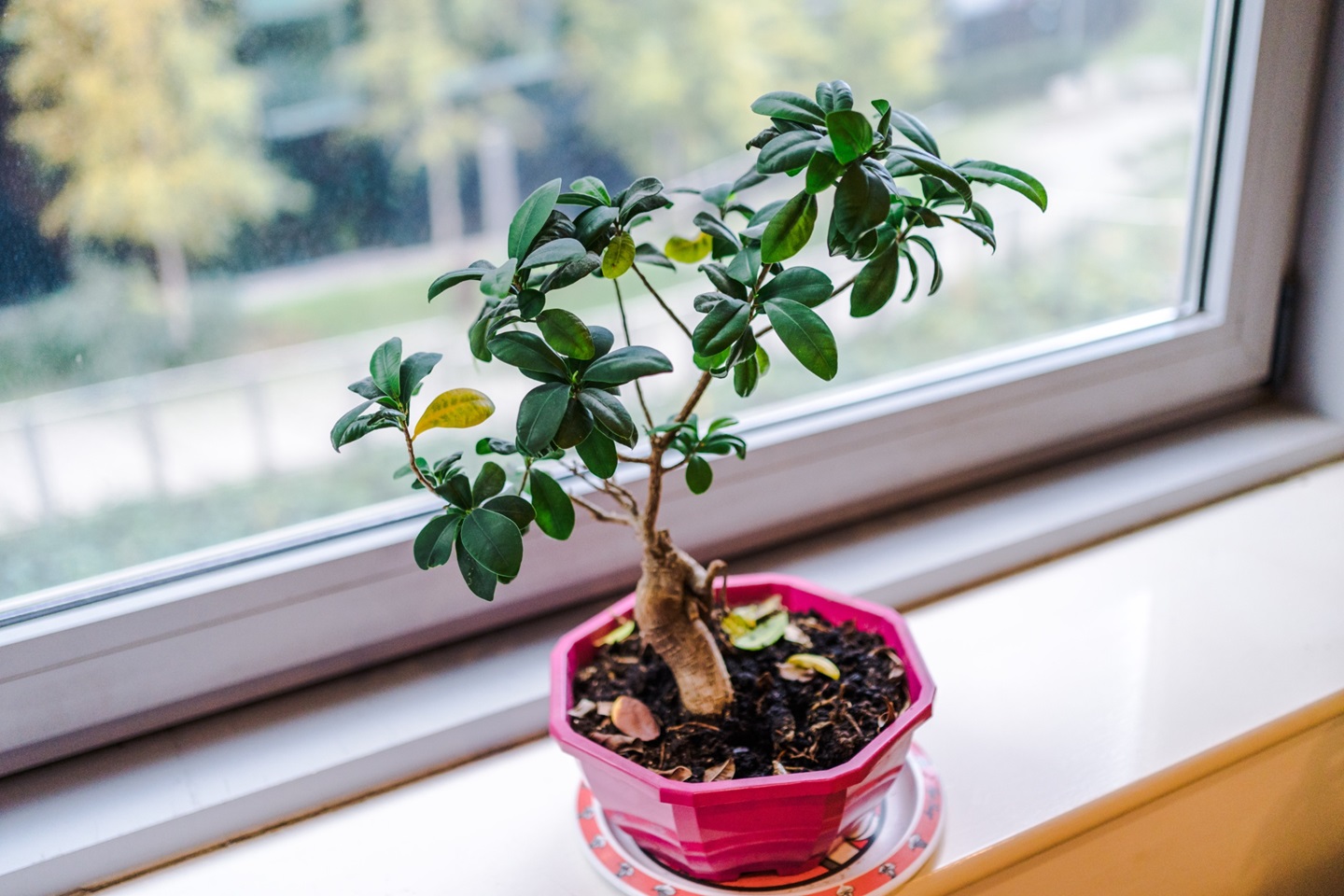 Additional image 19 of 2 Bed Flat, Princess Street, M1, N1 7GU