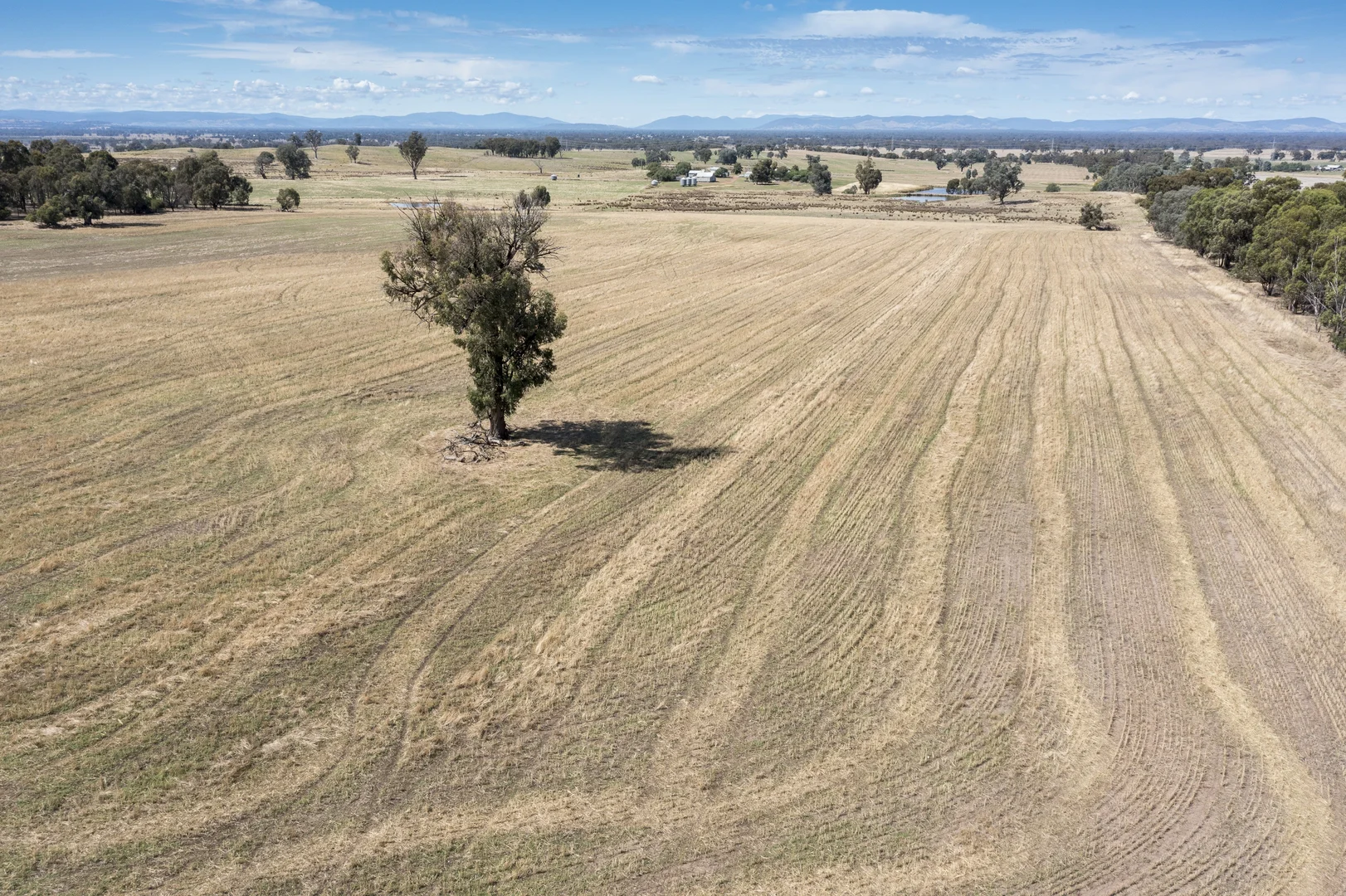 Additional image 26 of 646 Old Thoona Road, Goorambat VIC 3725