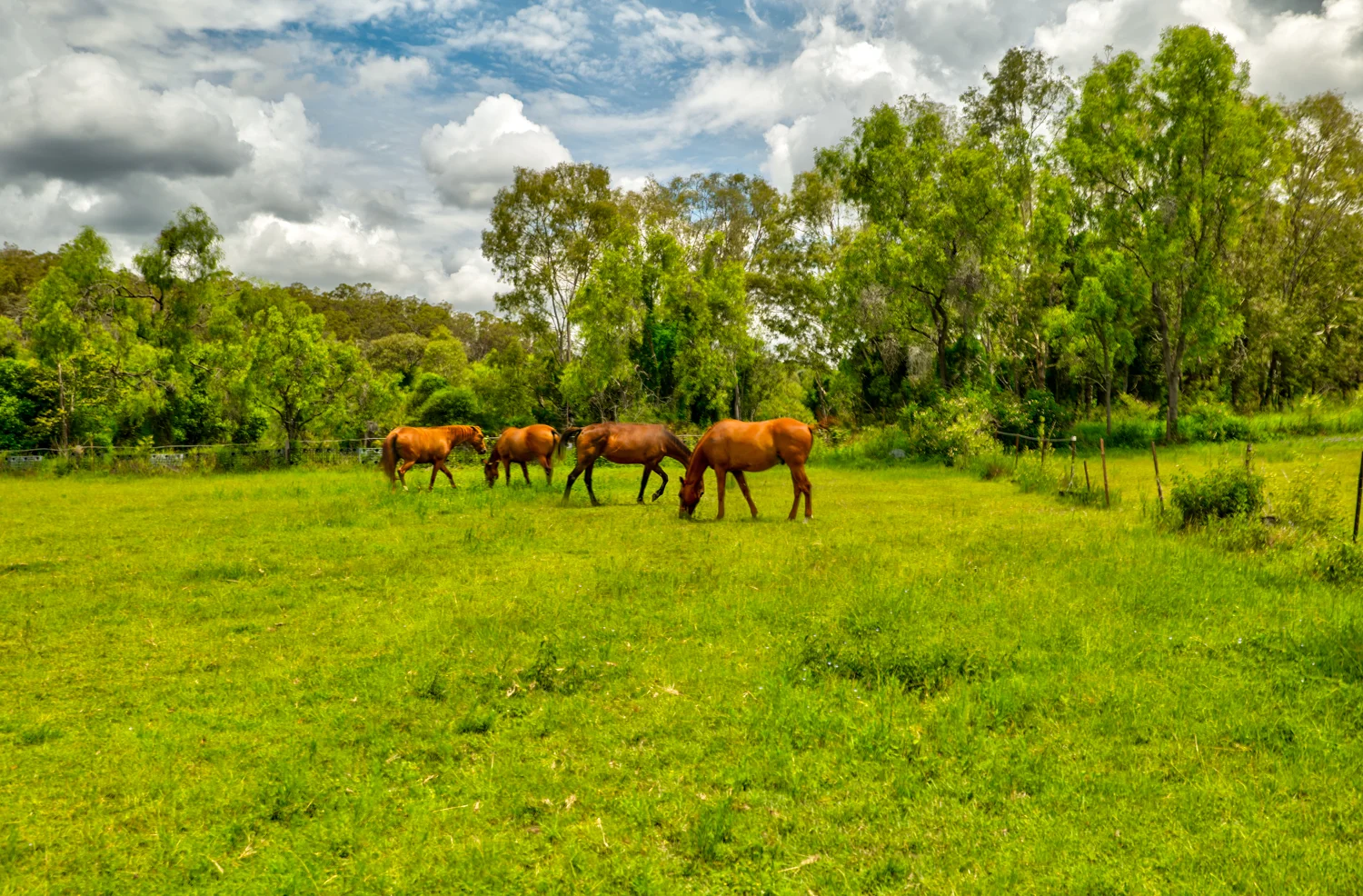 Additional image 4 of 22 Waterhouse Rd, Summerholm QLD 4341
