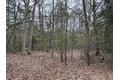 Additional image 36 of Old Bradley Rd, Mardela Springs, MD, 21837