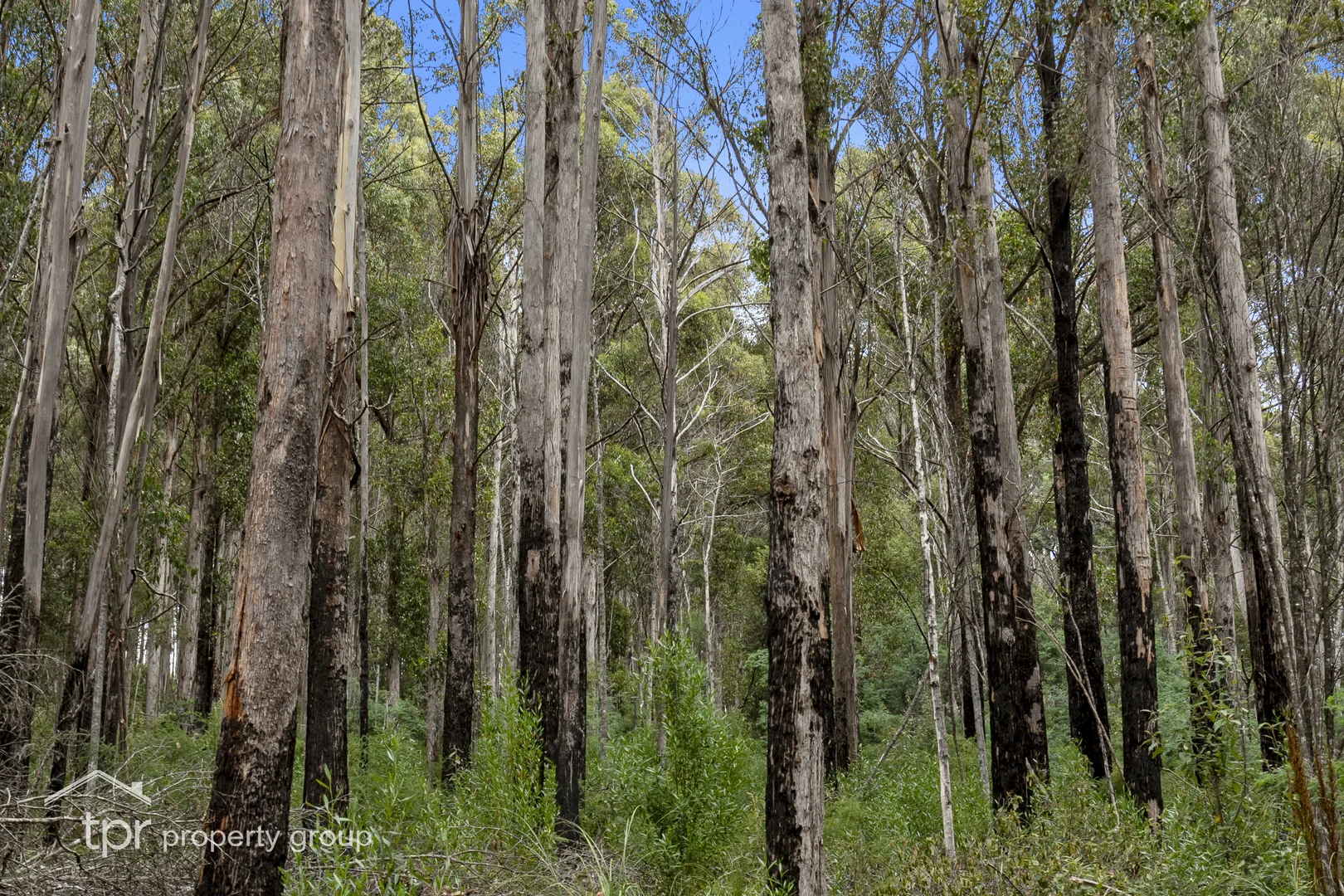 Additional image 5 of Lot 2 Kermandie River Road, Geeveston TAS 7116