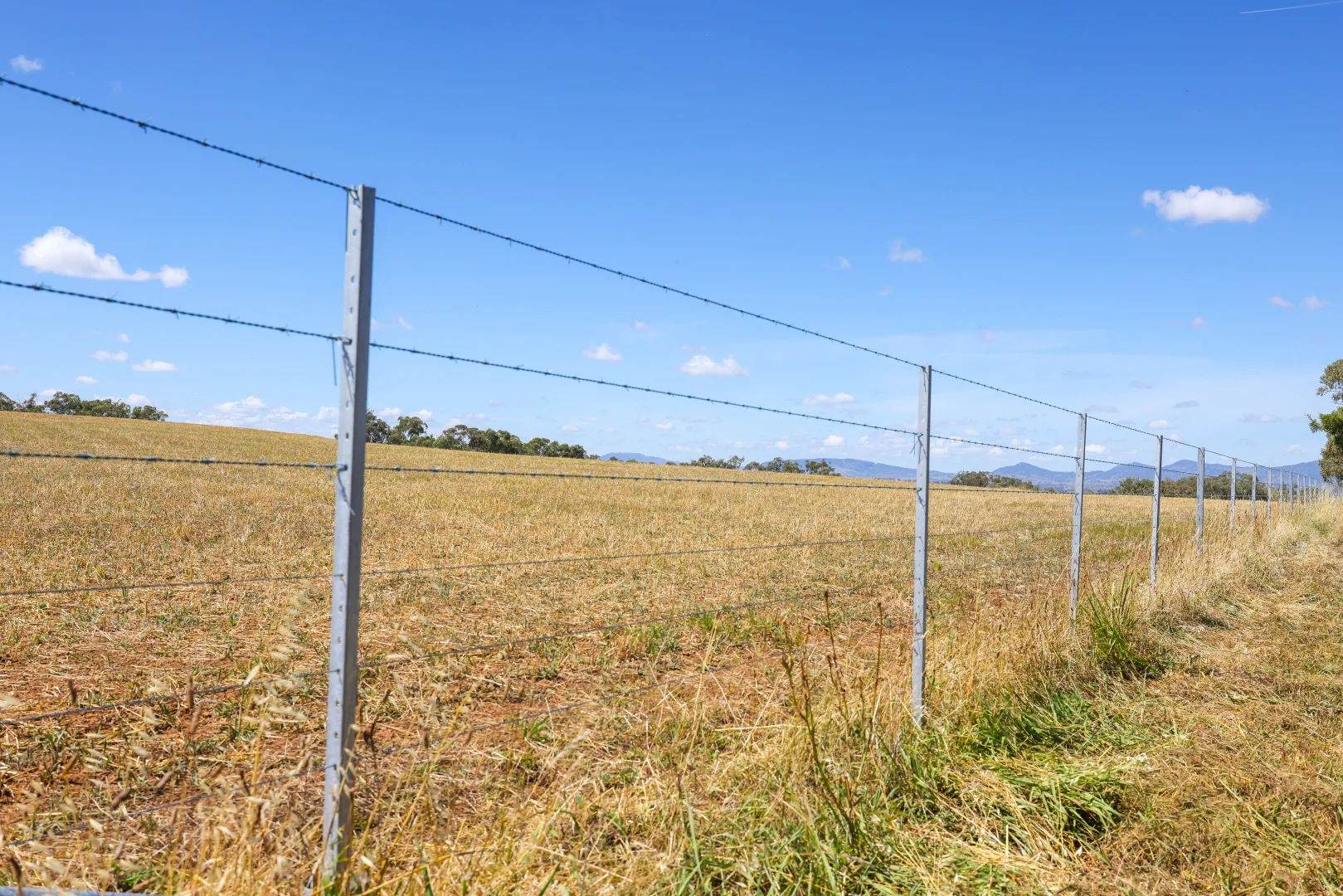Additional image 17 of 1193 Marsden Park Road, Tamworth NSW 2340