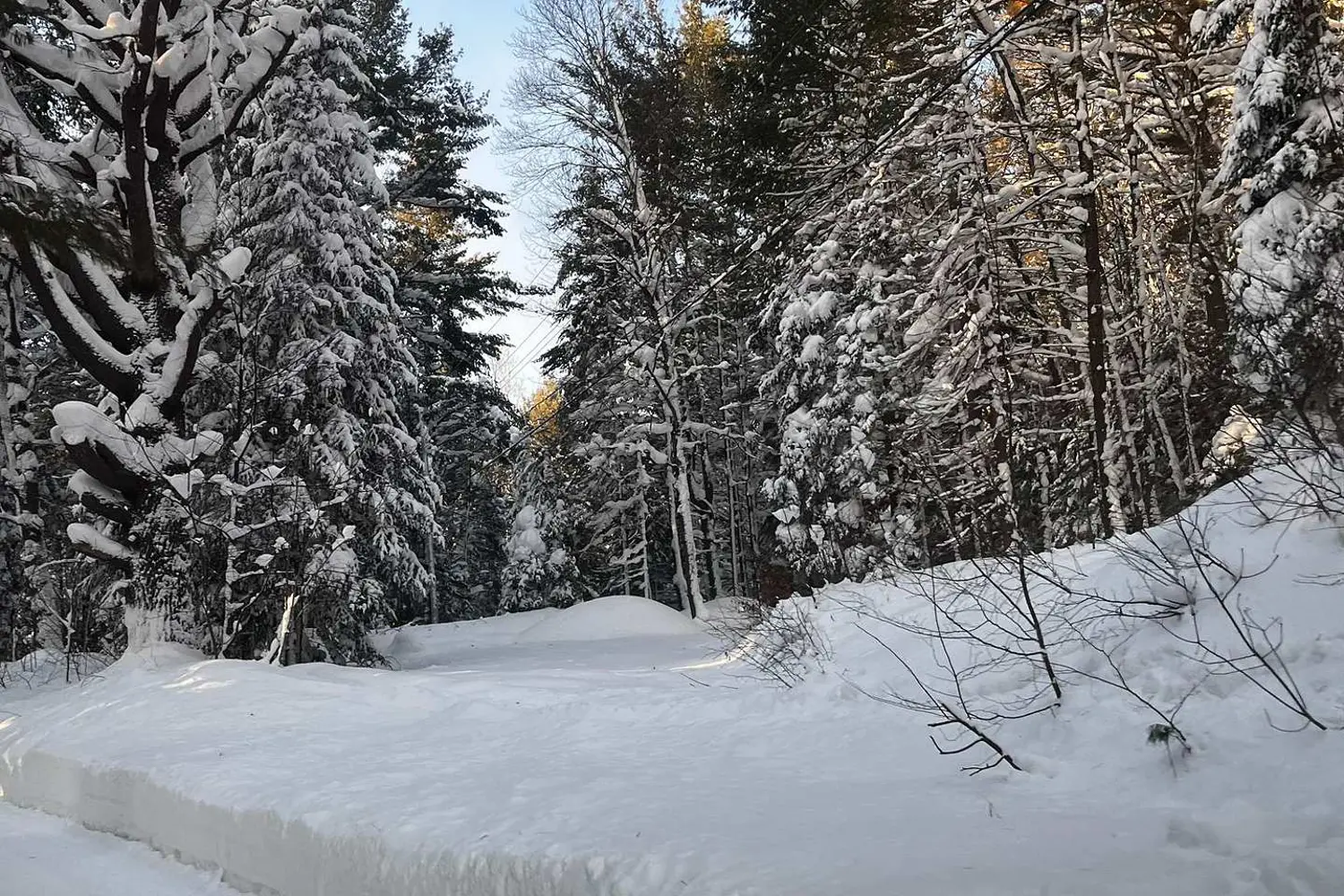 Additional image 6 of 1019 Forrester Trail