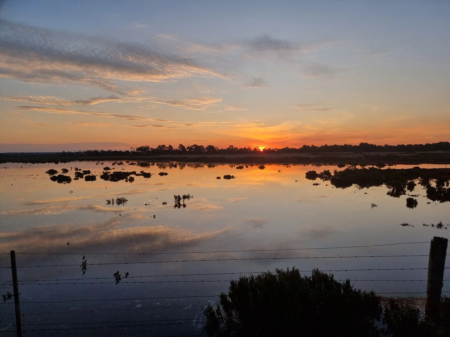 Additional image 10 of 111 CRAIGS LANE, Pearcedale VIC 3912