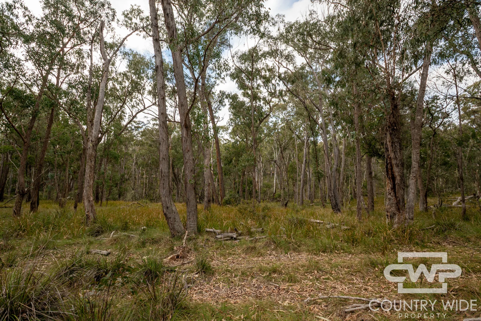 Additional image 3 of 10 Tablelands Road, Red Range NSW 2370