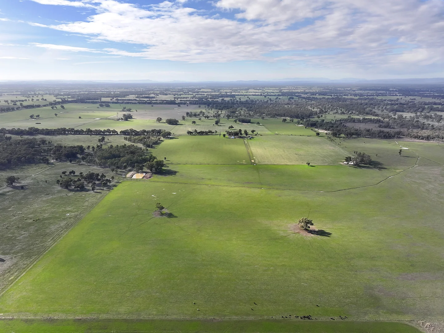 Additional image 3 of 158 Box Hill Lane, Upotipotpon VIC 3669