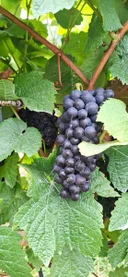 Additional image 10 of 103 Glendale Road, Sidmouth TAS 7270