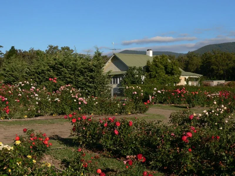 Additional image 15 of 77 HEALESVILLE-KOO WEE RUP, Healesville VIC 3777