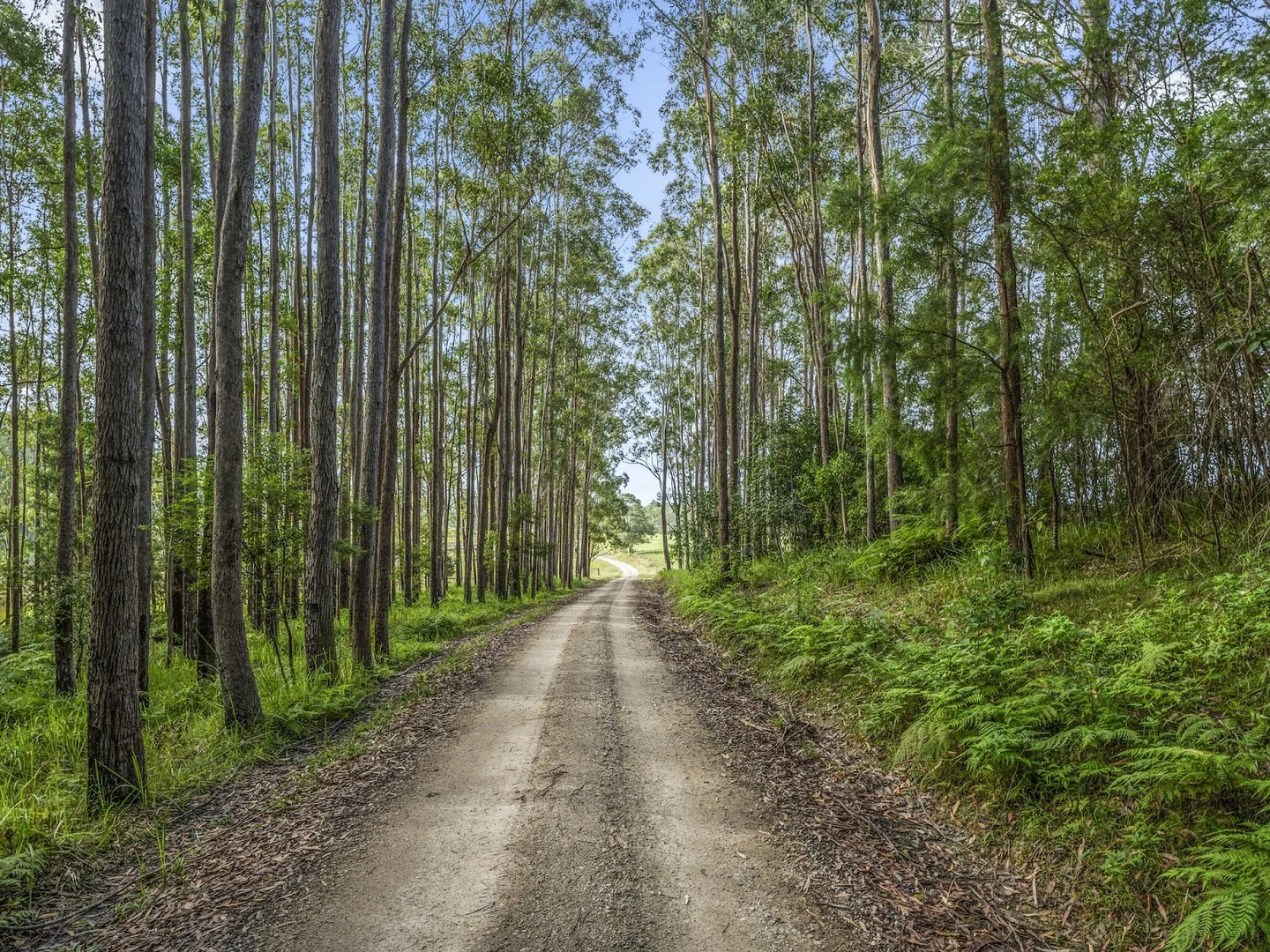 Additional image 5 of 1129 Martells Road, Urunga NSW 2455